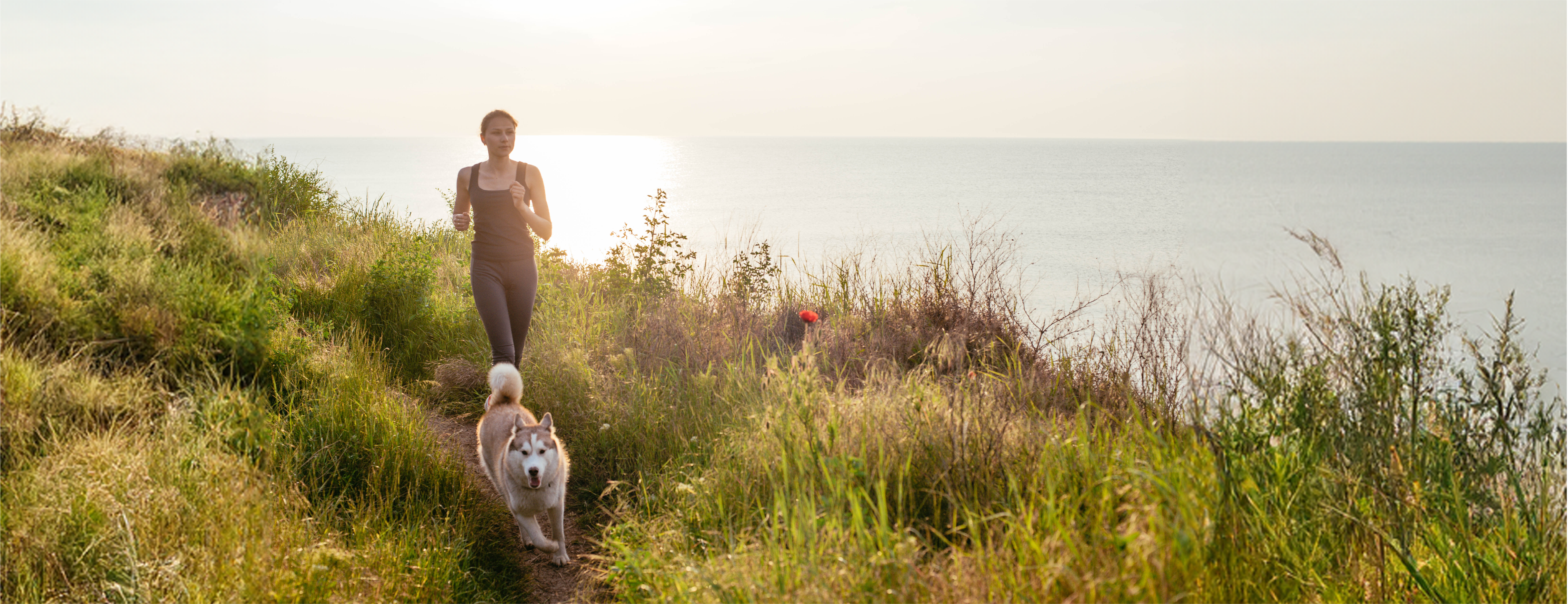 Dog running in landscape with owner